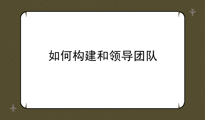 如何构建和领导团队